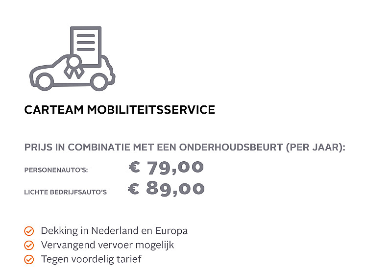 Carteam Rijnsburg